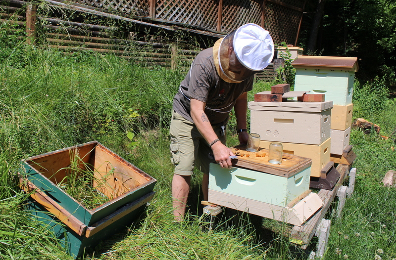 A West Virginia veteran has opened an apiary service.