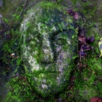 New River Gorge Stone Face