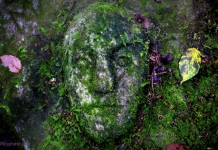 An enigmatic stone face carved into mossy sandstone along the rim of the New River Gorge is attracting increased attention.