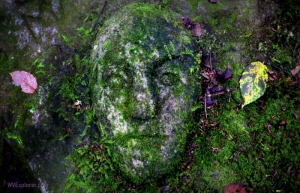 An enigmatic stone face carved into mossy sandstone along the rim of the New River Gorge is attracting increased attention.