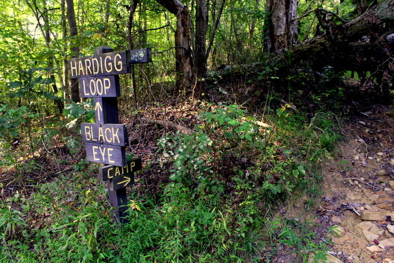 Trail signs stand near an entrance to the Sand Hill Wildlife Management Area near Mountwood Park in Ritchie County.