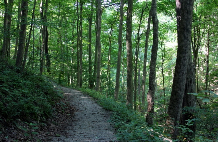 Hundreds of hikers visit the trail system annually at Bethany College.