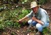 David Sibray inspects stonework in a thicket near the old saltworks.