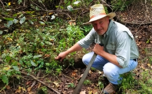 David Sibray inspects stonework in a thicket near the old saltworks.