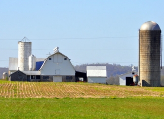 West Virginia leads the nation in small farms, according to West Virginia University.