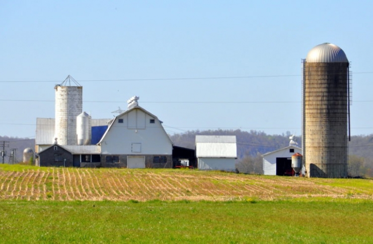 West Virginia leads the nation in small farms, according to West Virginia University.