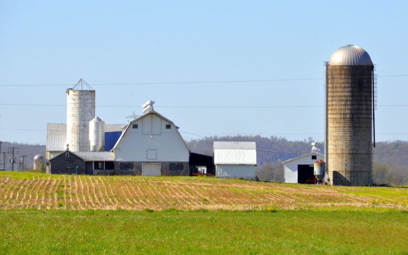 WVU helps tackle food safety issues for state farmers - West Virginia