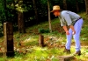 Sibray visits the remote grave of Captain Ralph Stewart near Oceana, West Virginia.