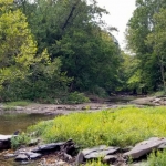 Mouth of Lick Creek at New River