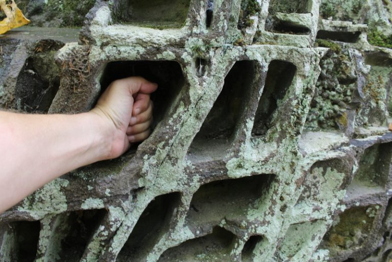 Deep indentions decorate some of the Honeycomb Rocks near Marlinton, West Virginia.