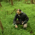 WVU professor examines invasive stiltgrass
