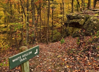 The White Hollow Trail descends through Kanawha State Forest near Charleston, West Virginia.