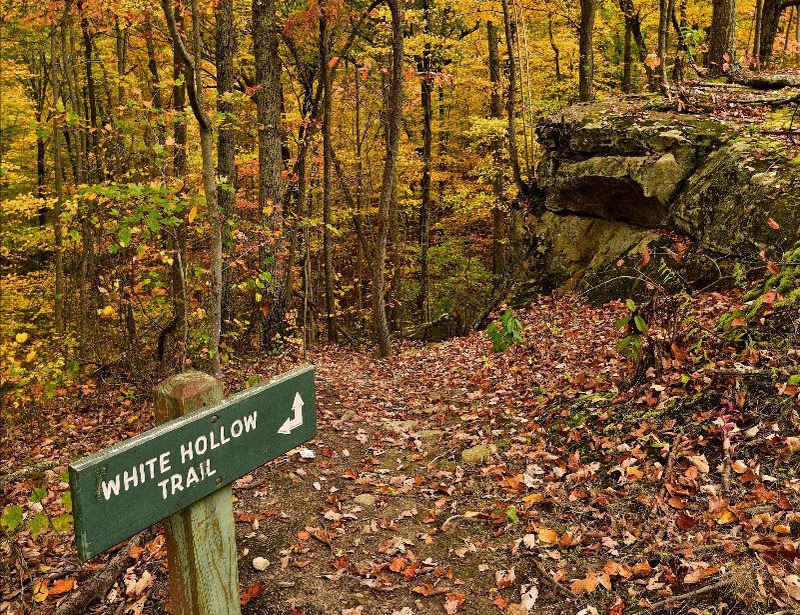 The White Hollow Trail descends through Kanawha State Forest near Charleston, West Virginia.