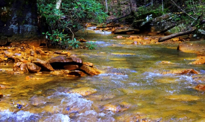 Acid stream in West Virginia An acidic stream in West Virginia is revealed by yellow-tinged rocks.