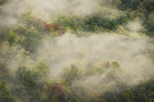 Fog lingers in the Blackwater Canyon near Davis in Tucker County.