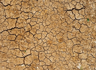 Officials with the W.Va. Department of Agriculture warn that 18.7 percent of the Mountain State as of October 3, 2019, is under severe drought status.