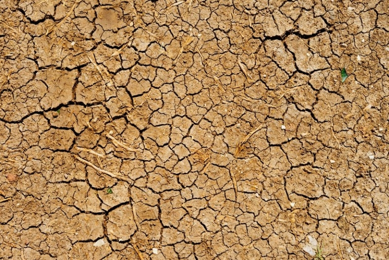 18 percent of West Virginia under severe drought status