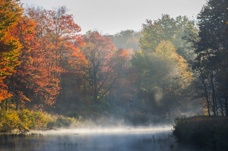 Morning mist rises off the Blackwater River in the Little Canaan Wildlife Management Area.