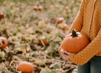 Pick-your-own pumpkin farms are growing increasingly popular across West Virginia.
