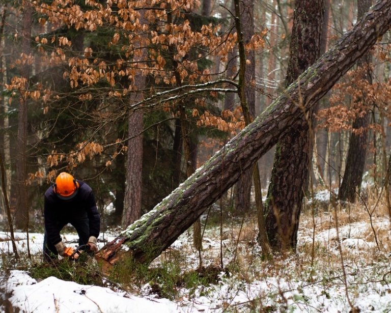 Glenville creates forestry, land surveying scholarships