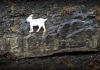 A memorial to a legendary goat that lived along U.S. 19 appears on a cliff.