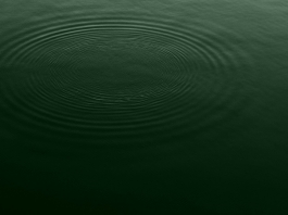 Do three legendary monsters inhabit the Monongahela River? Ripples appear on the surface of the Monongahela River in Marion County, West Virginia.