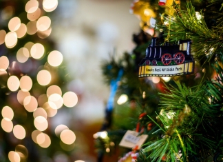 A Hawks Nest State Park ornament hangs on a Christmas tree.