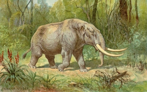 Mastodons inhabited north and central America until the end of the Pleistocene 10,000 to 11,000 years ago.