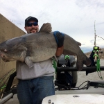 West Virginia record blue catfish