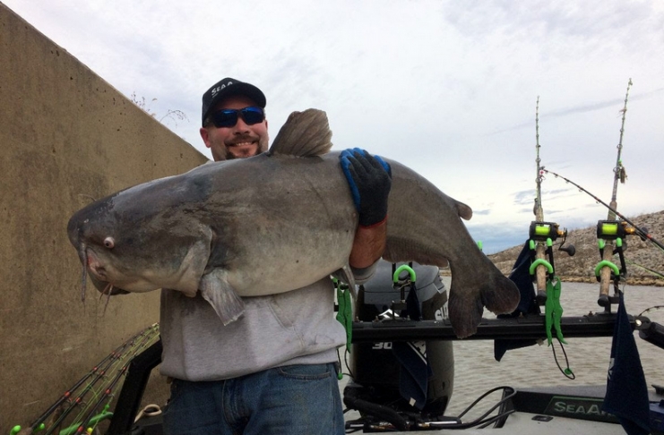 Justin Conner of Culloden caught a 49.84-inch, 58.38-pound blue catfish on the Ohio River in Mason County.