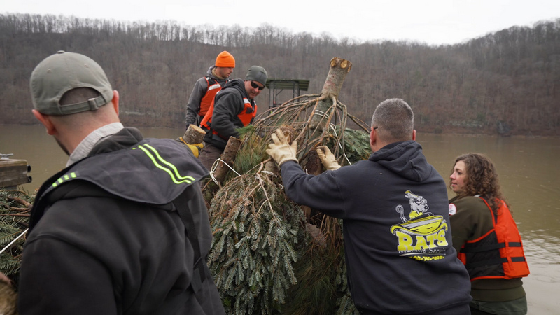 Fisheries biologists are using Christmas trees to create fish habitat.