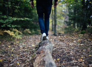A hiker balances on a log along a West Virginia forest trail.