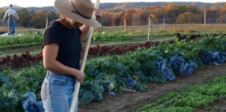 Farm manager Susanna Wheeler tends a garden at New Roots Community Farm near Fayetteville, West Virginia.