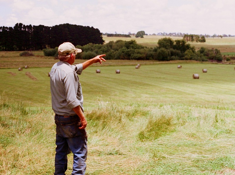 A farmer surveys pasture and cropland in eastern West Virginia.