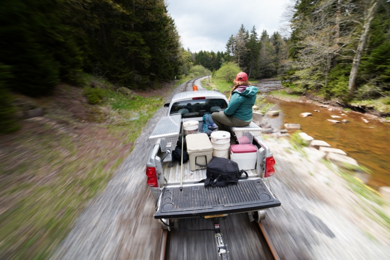 Trout stocking 2022 underway on West Virginia streams