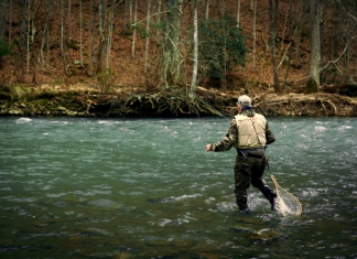 A fly fisherman wades into a stream in West Virginia.
