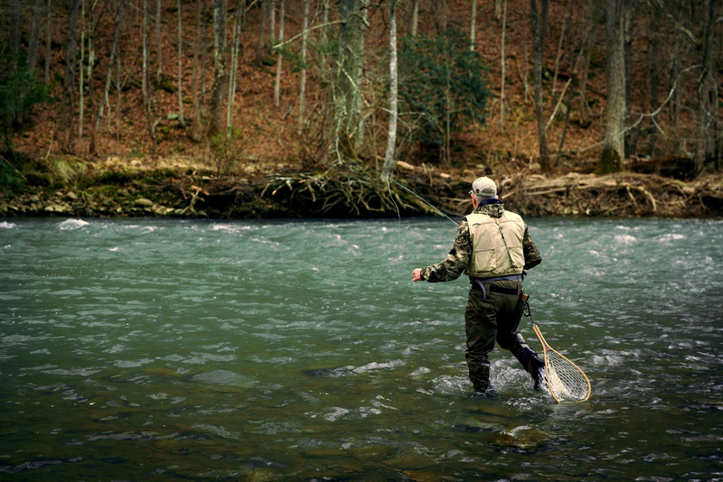 A fly fisherman wades into a stream in West Virginia.