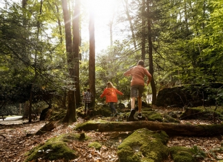 Children frolic during a Green Day Hike, now a landmark spring in event in West Virginia State Parks.