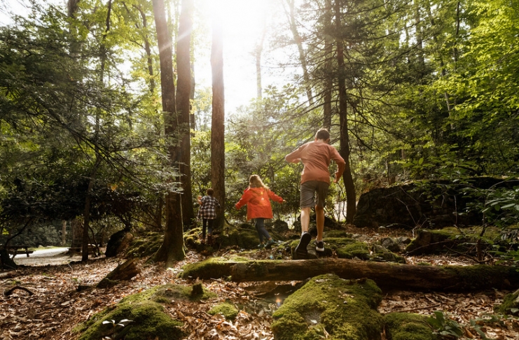 Children frolic during a Green Day Hike, now a landmark spring in event in West Virginia State Parks.