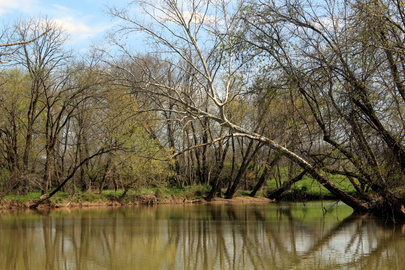 Spring arrives on the lower Mud River in Cabell County near Howell's Mill.