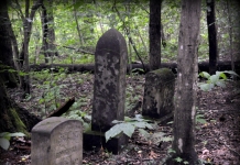 Headstones hide in the dim light of wooded Red Ash Island in the New River Gorge.
