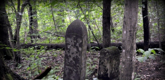 Headstones hide in the dim light of wooded Red Ash Island in the New River Gorge.