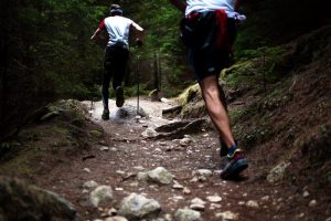 Hikers trek into a spruce forest in the West Virginia highlands.