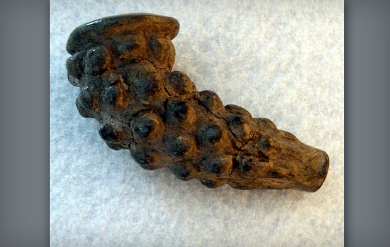Iroquoian-style pipe discovered at the Marmet archaeological site (46-KA-9). (Provided by Darla Spencer)