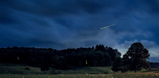 Fireflies dance in a field in Nicholas County, West Virginia.