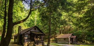 Cabins in state-managed parks in West Virginia are welcoming record in-state visitors. (Photo: W.Va. Dept. of Commerce)