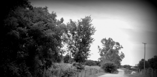 Tale of the Screaming Lady based on real historical horror A country road leads past the haunt of the Screaming Lady of Mason County.