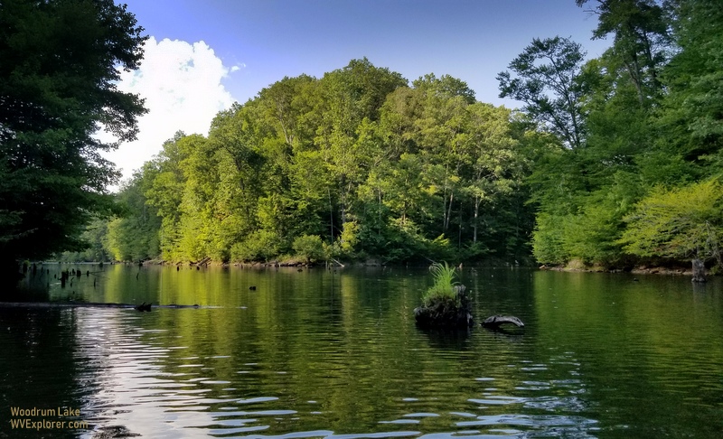Forest surrounds the narrow arms of Woodrum Lake in southern Jackson County.