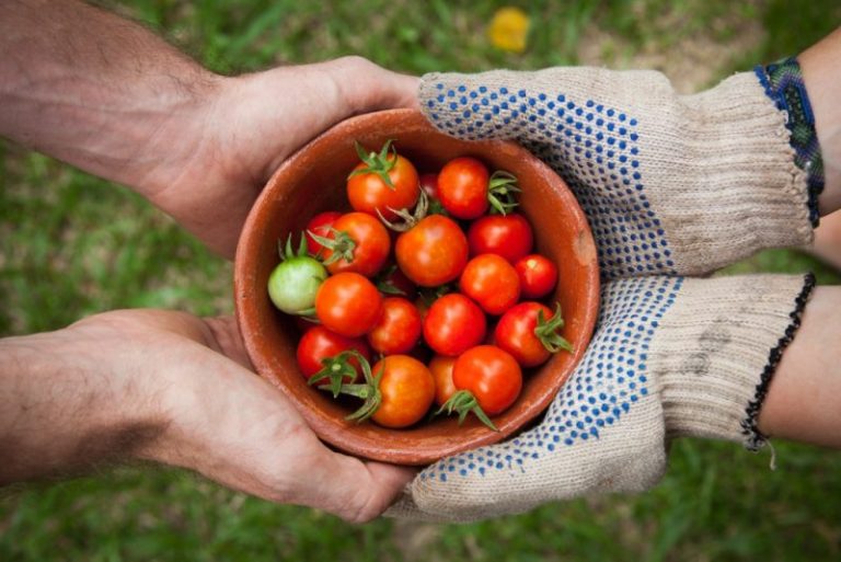 West Virginia agriculture is getting a boost, thanks to a grant from the USDA.