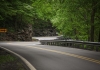 A popular section of The Talon winds along flanks of the New River Gorge near Hawks Nest.